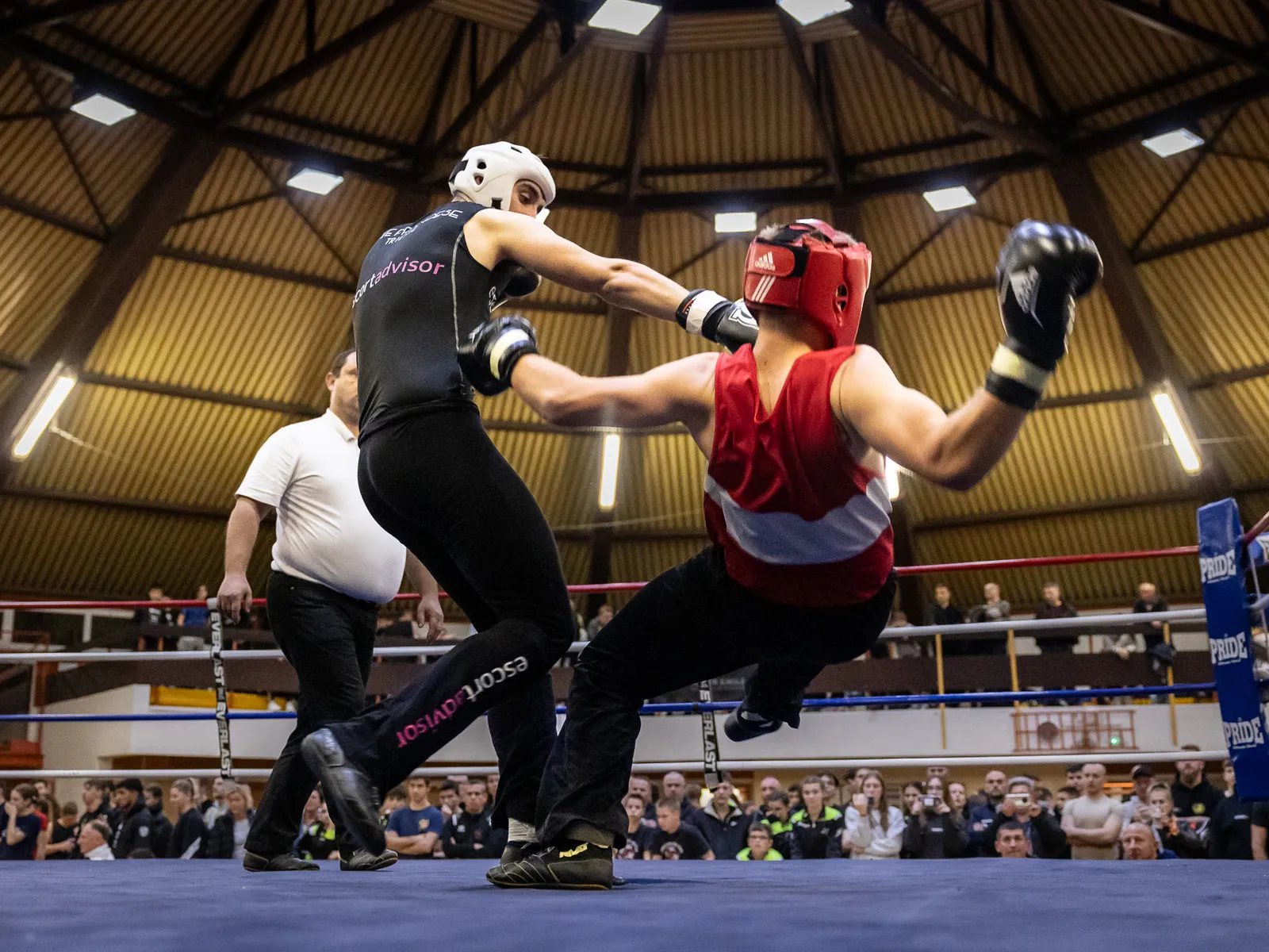 Boxe Francese Trieste domina la Dragon Challenge