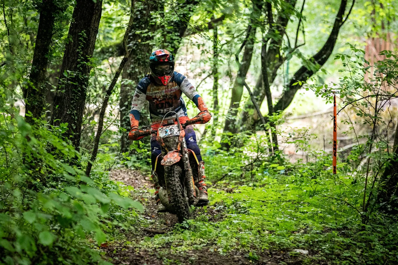 Enduro Panorama: Sonny Goggia primo in Romania